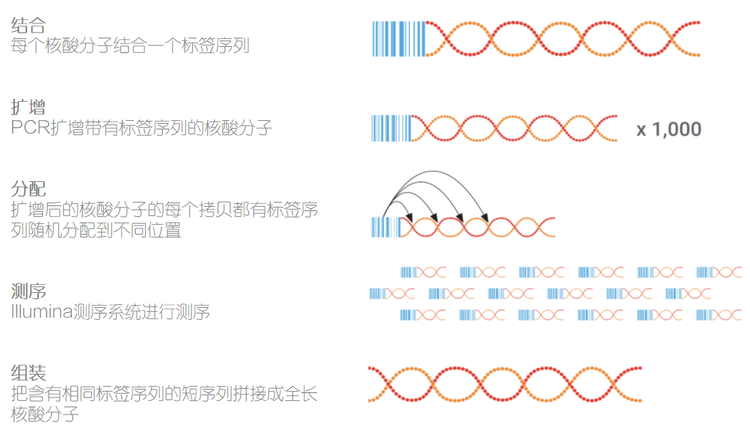 原理-0619.png